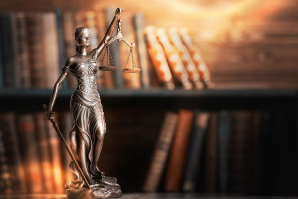 Hukuk Danışmanlığı